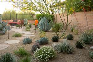 Desert Landscape Backyard