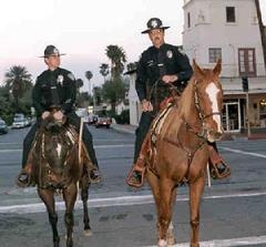 Mounted officers