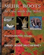 Muir Roots Book