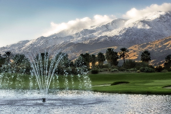 A view of the Indian Canyons neighborhood in Palm Springs